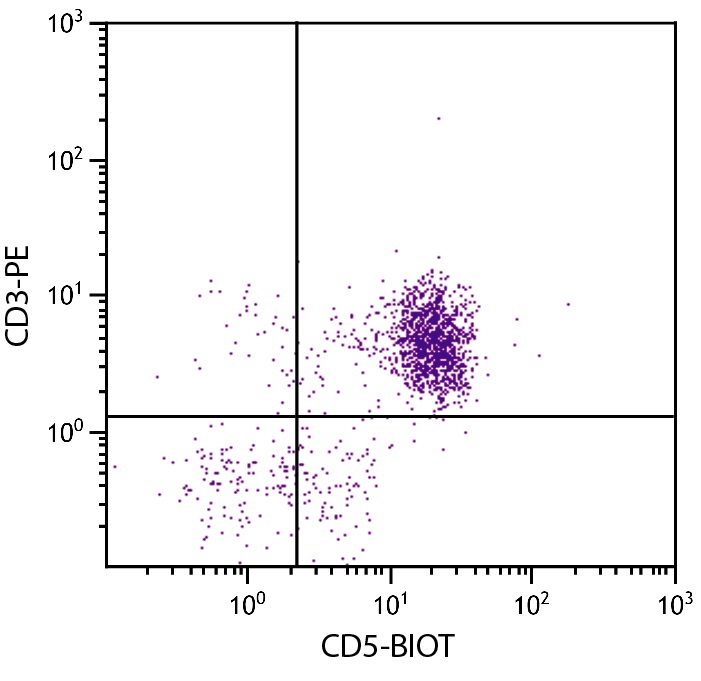 Flow Cytometry: Chicken peripheral blood mononuclear cells stained with ARG22136 anti-CD5 antibody [2-191] (Biotin) and ARG21153 anti-CD3 antibody [CT-3] (PE).